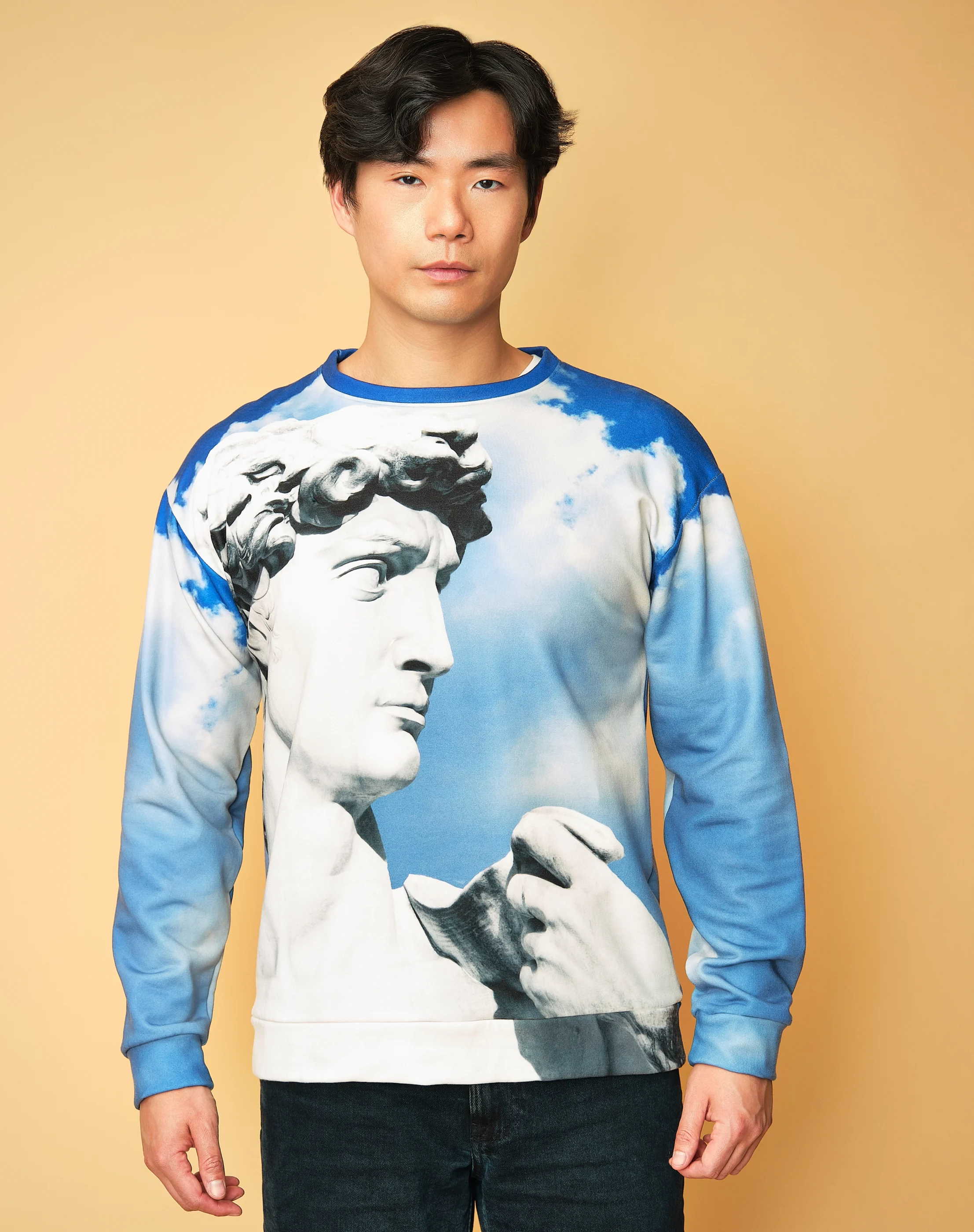 David in the Clouds Eco Pullover
