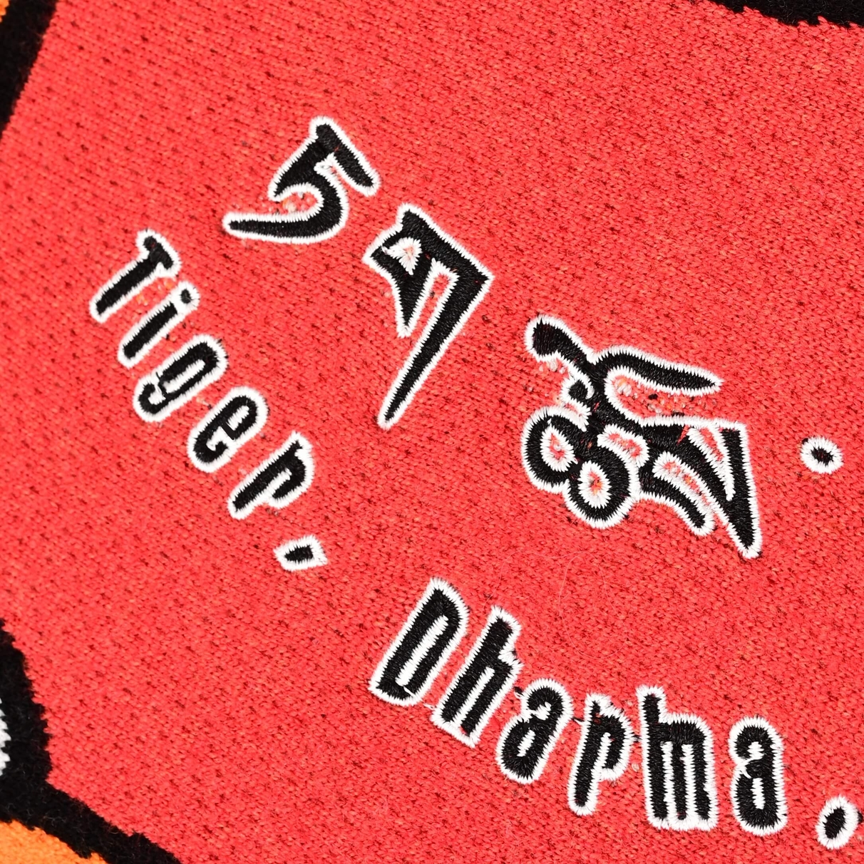 Close view of embroidered lettering on the coral-red back of the Tiger Rug crewneck